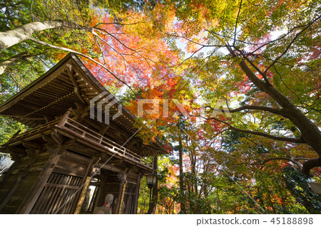 Autumn leaves Okubo-ji (Shikoku, 88 places, 80th place) 45188898