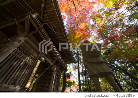 Autumn leaves Okubo-ji (Shikoku, 88 places, 80th place) 45188899