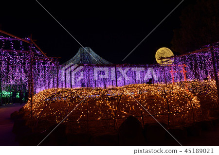 Yushoen Illuminations Yushoen Illuminations 45189021