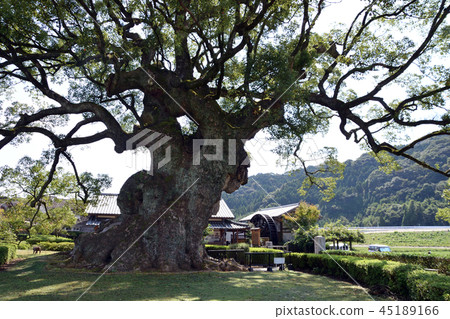 Kawagoi Oiso Park 45189166