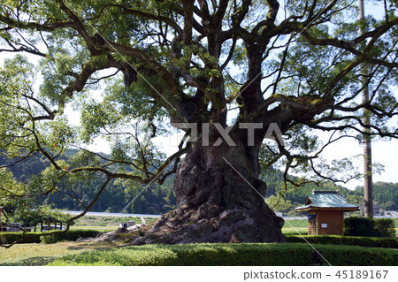 Kawagoi Oiso Park 45189167