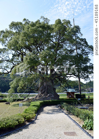 Kawagoi Oiso Park Kawagoi Oiso Park 45189168