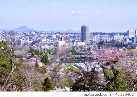 從櫻花盛開的青葉城公園到仙台地區七林的景色 45189468