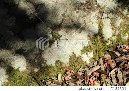 Rough rock surface and Okotsukei Rough rock surface and Okotsukei 45189864