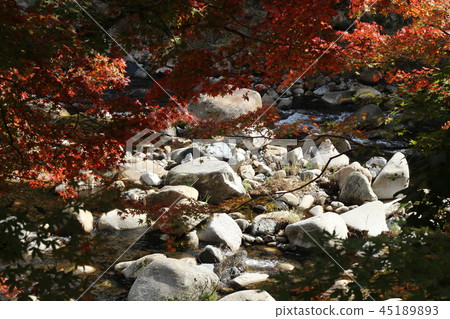 粗糙的岩石表面和Okotsukei 粗糙的岩石表面和Okotsukei 45189893