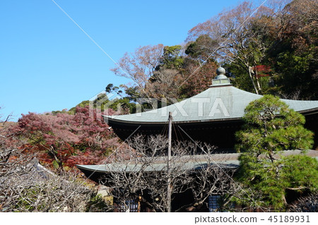 Kamakura Yusenji Temple Kamakura Zuisenji temple Kamakura Yusenji Temple Kamakura Zuisenji temple 45189931