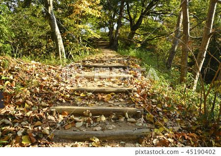 Autumn trail Autumn trail 45190402