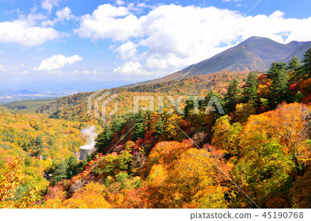 Hachimantaira秋葉 45190768