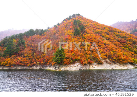 Okutami lake rainy season of autumn leaves 45191529