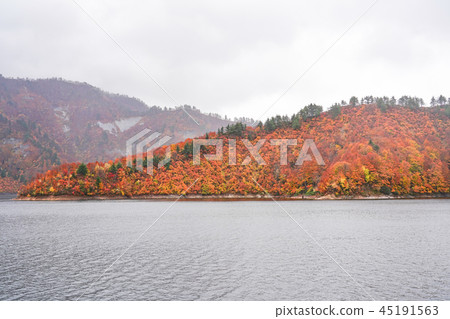 Okutami lake rainy season of autumn leaves 45191563