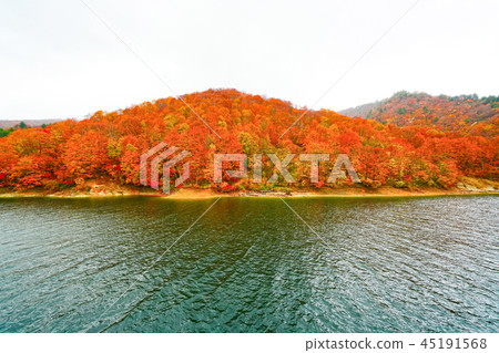 Okutami lake rainy season of autumn leaves 45191568