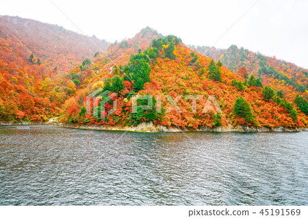 Okutami lake rainy season of autumn leaves 45191569