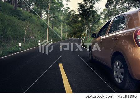 A car running on the road in the park. A car running on the road in the park. 45191890