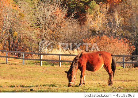 Kiso Ma的村莊 Kiso Ma的村莊 45192068