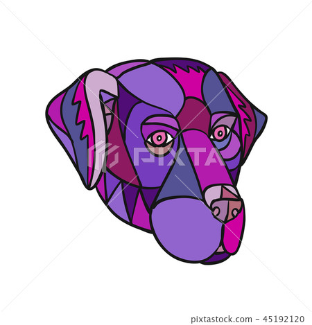 Labrador Retriever Dog Head Mosaic Color 45192120