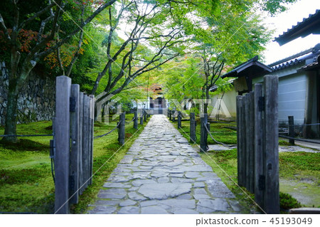 京都·Rei Onsen Ikuji Temple方法1 45193049