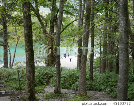 Taisho Pond in the Kamikochi forest in Nagano Prefecture (early fall) 45193752