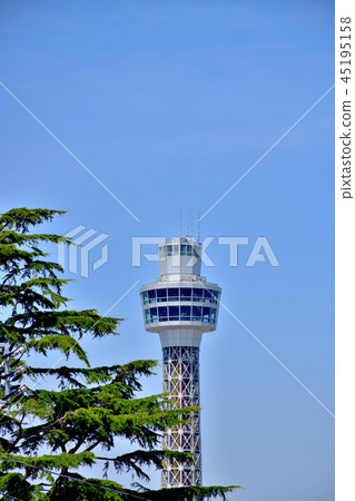 新鮮的綠色和海洋塔 45195158