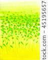 黃綠色圖像 45195657