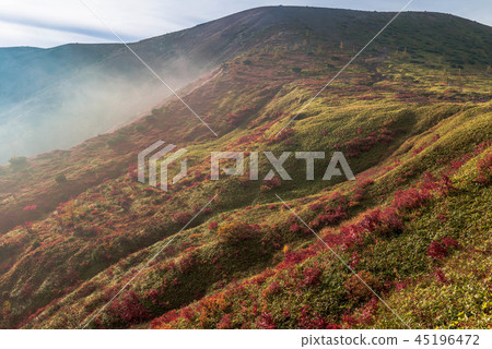 Autumn leaves of Yamada Pass 45196472
