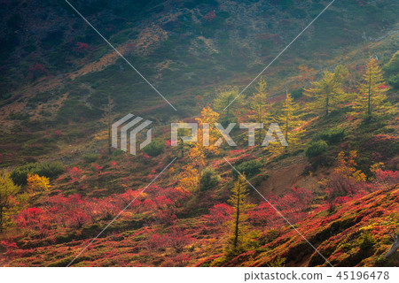 Autumn leaves of Yamada Pass 45196478