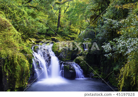 菊池谷在秋天的顏色染色 45197028