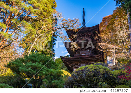(長野縣)國寶大王三重塔 (長野縣)國寶大王三重塔 45197207