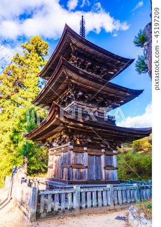 (Nagano Prefecture) National Treasure Daihoji Triple Tower 45197209