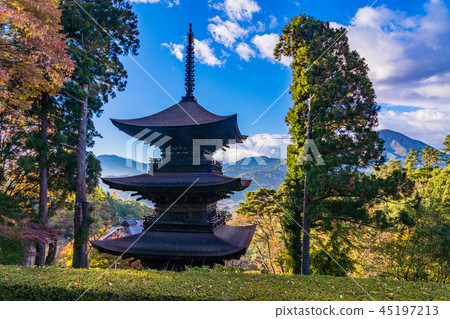 (Nagano Prefecture) National Treasure Daihoji Triple Tower (Nagano Prefecture) National Treasure Daihoji Triple Tower 45197213