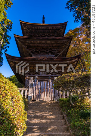 (Nagano Prefecture) National Treasure Daihoji Triple Tower (Nagano Prefecture) National Treasure Daihoji Triple Tower 45197222