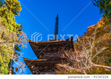 (Nagano Prefecture) National Treasure Daihoji Triple Tower (Nagano Prefecture) National Treasure Daihoji Triple Tower 45197226