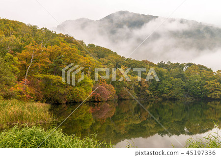 Autumn leaves of Shiga Kogen Autumn leaves of Shiga Kogen 45197336