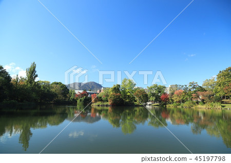 札幌中島公園 45197798