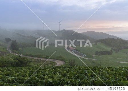 Anbanda, Chinese cabbage field 45198323