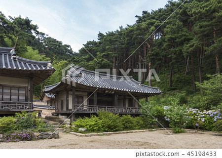 水母jongtaek 45198433