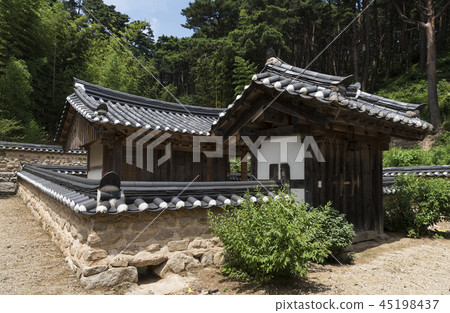 水母jongtaek 水母jongtaek 45198437