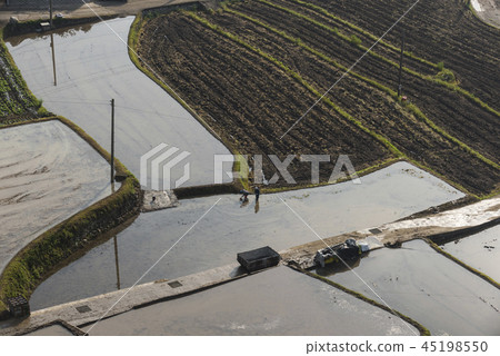 墓金槍魚飯 墓金槍魚飯 45198550