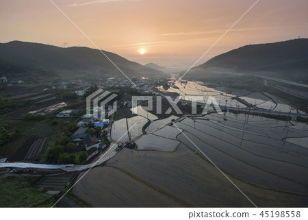 墓金槍魚飯 45198558