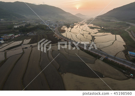 墓金槍魚飯 45198560