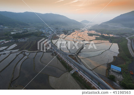 墓金槍魚飯 45198563