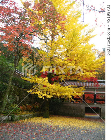 秋南禪寺4 秋南禪寺4 45198733