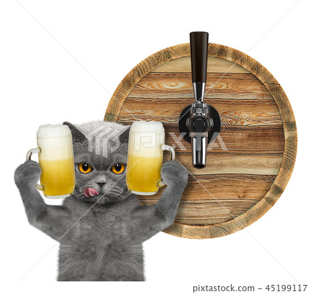 Cute cat with a glass of beer and barrel. isolated on white 45199117