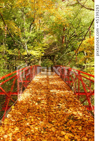 Kakyoyu Onsen Walking Path Momijibashi Autumn Ueda City Kakyoyu Onsen Walking Path Momijibashi Autumn Ueda City 45199263