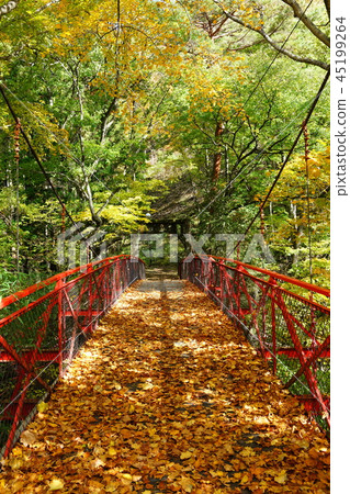 [紅葉橋] 掛湯溫泉散步道 [上田市] 45199264