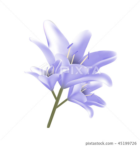 Bouquet of blue lilies. Bouquet of blue lilies. 45199726