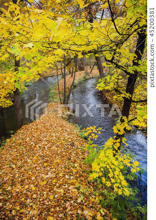 Autumn in the castle park of Meiningen Thuringia 45200381