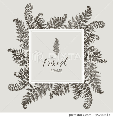 Beautiful card with a square frame with wreath of different plants of vintage garden and forest Beautiful card with a square frame with wreath of different plants of vintage garden and forest 45200613