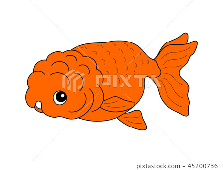 Goldfish, Nakamura 45200736