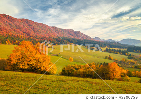 Landscape with a trees in autumn colors. Landscape with a trees in autumn colors. 45200759