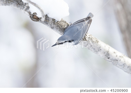 Shirohara Goju Sapporo City Shirohara Goju Sapporo City 45200900